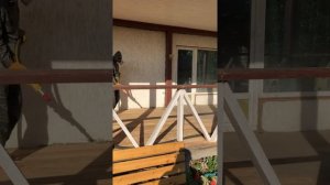 Пескоструйная обработка окраска дерева