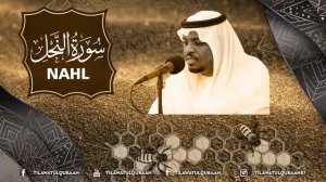 Сура Ан Нахль чтец Мухтар Аль Хадж Surah Nahl Qari Mukhtar Al Haaj ..........🔊