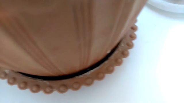 Моя коллекция кактусов 🌵 смотреть онлайн