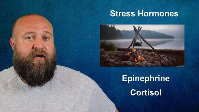 General Adaptation Syndrome