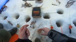 Рыбалка на море! ловля сига и корюшки! подводные съёмки