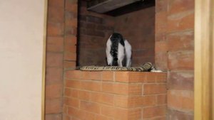 Русская печь Теплушка-15 малая. Вид сзади. Работа Константина Борзова