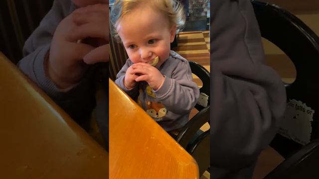 10-Month-Old Has Hilarious Reaction First Time Trying Lemon   ViralHog