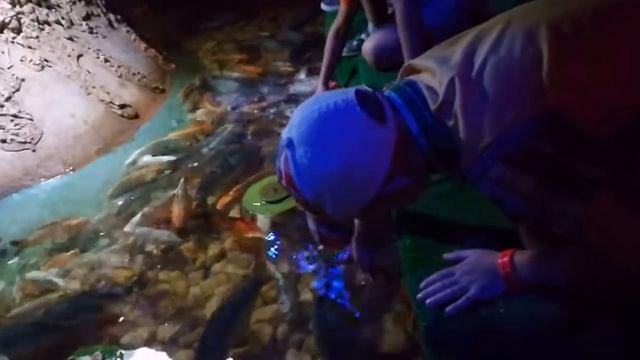 Аквариум Hurghada Grand Aquarium (Египет, Хургада) смотреть онлайн