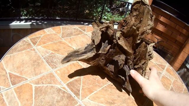 Дубовая коряга с дуплом смотреть онлайн