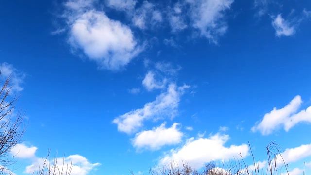 Ответы, которые вы ищете, уже внутри вас