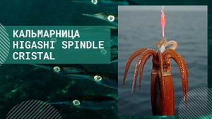 Новинка  Кальмарница HIGASHI Spindle Cristal