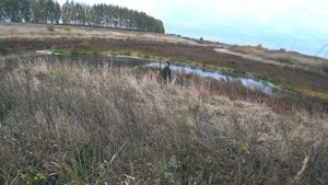 Незабываемая охота на уток. Много уток. Моя лучшая утиная охота 2021