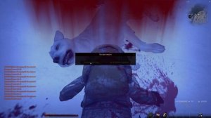 Чем заняться в зоне остров Южный