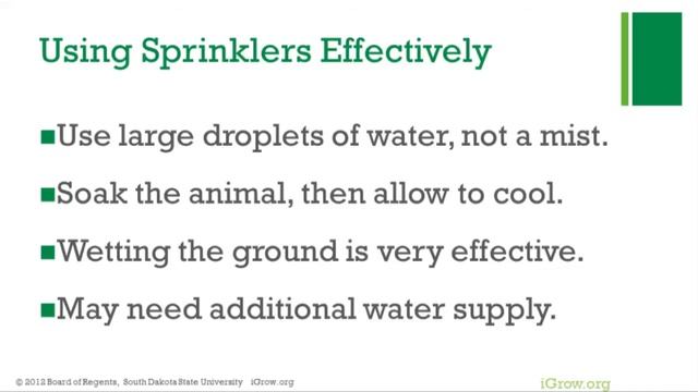 Dealing With Heat Stress in Cattle смотреть онлайн