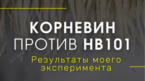 КОРНЕВИН или HB101? Что эффективнее - мой эксперимент. РЕЗУЛЬТАТЫ ЧЕРЕЗ МЕСЯЦ