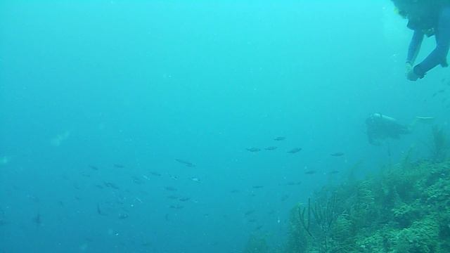 Lens: Подводные съемки, ч.3 , о. Провиденсия Карибы, (Diving in Providencia Island).