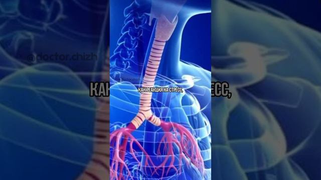 КОМ В ГОРЛЕ. ЧТО ДЕЛАТЬ?😥 #комвгорле #щитовиднаяжелеза #психосоматика #щитовидка #эндокринолог смотреть онлайн