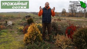 Берегите ИХ как ЗЕНИЦУ ОКА! Простейшее убежище для помощников в саду и огороде! Лягушки и жабы.