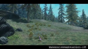 TES V - Skyrim Mods: Skyrim amazing dense grass by destorydream