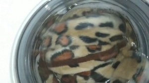 СТИРКА ОДЕЯЛА БЫСТРАЯ 40° 1200 ОБ / МИН | СЕРВИСНЫЙ ТЕСТ