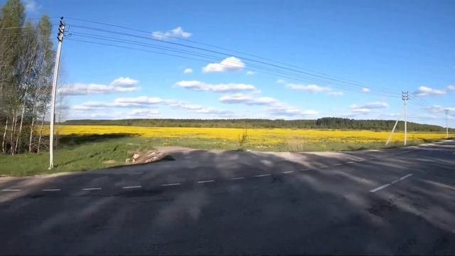 Веломаршрут Мещера Нерская