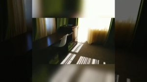 Номер «студио-море» 🏝️☀️