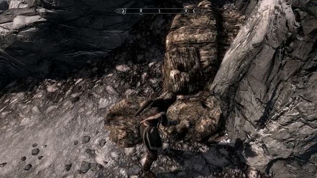 Skyrim - WTF....
