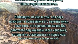 К чему снится Паук сонник, толкование сна