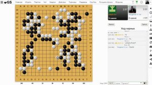 Игра ГО. Go Game (囲碁 Igo 바둑 圍棋 Go) Путь к 1 Дану.