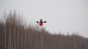 video_2024-04-10_09-47-26