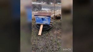 Улей-лежак на 24 рамки, первый опыт.