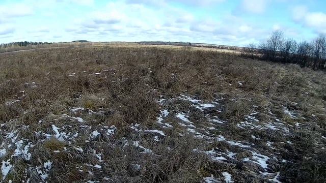 Нашли стаю тетеревов. Пробуем подойти... смотреть онлайн