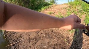 Рыбалка в пойме Волгоградской области (Ленинский р-он)