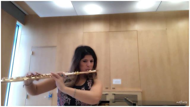 J. Andersen Flute Etudes Op. 33 #2 смотреть онлайн