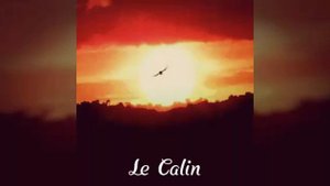 Эту Песню Ищут Все!/Le Calin