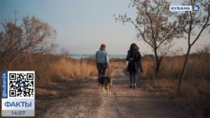 Правила содержания и выгула домашних животных ужесточили в Краснодарском крае