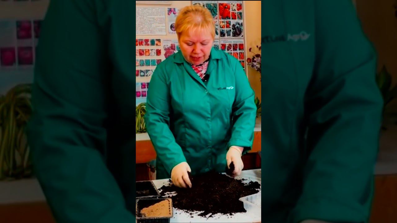 Грунт для рассады цветов. Подготовка грунта для посева петунии.