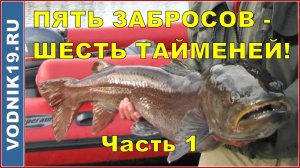 Пять забросов - шесть тайменей! Часть-1.