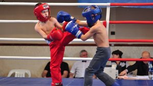 Боевые искусства мира. Кикбоксинг