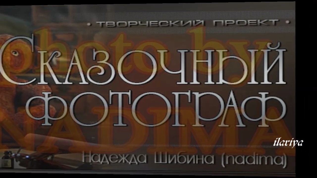 Надежда Шибина. Сказочный мир фотографа и дизайнера