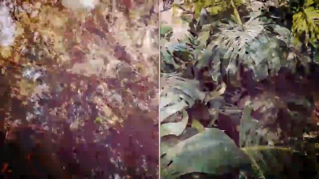 PROYECTO TEJIDOS Calgary 2022 -workshop  site specific performance-