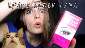 КРАШУ БРОВИ И РЕСНИЦЫ КРАСКОЙ ЗА 11 РУБЛЕЙ!