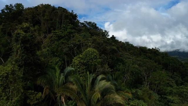 Лечебная музыка для сердца ? Нежная музыка, успокаивает нервную систему и радует душу, Глубокий сон смотреть онлайн