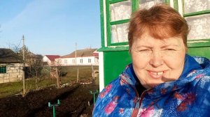 Жизнь в деревне простых людей .Пришли растишки от  к. Сурские Зори .