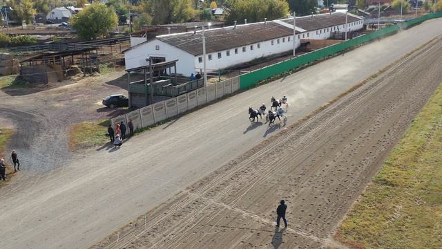 2.10.2021г.Абакан Приз Мемориал Маршала К.К.Рокоссовского Орл.рыс старшего возраста 1600м