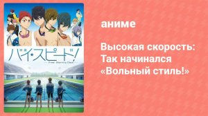 Высокая скорость: Так начинался «Вольный стиль!» (аниме, 2015)