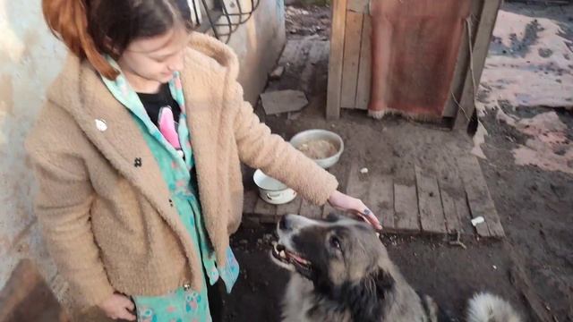 Ломать не строить . Как жить без ворот ? смотреть онлайн