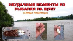 Неудачные моменты из рыбалки.