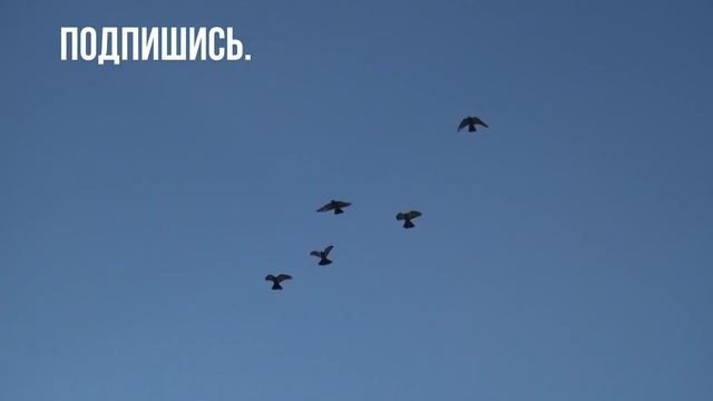 Полеты не во сне, а на яву. смотреть онлайн