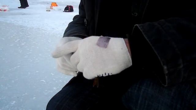 Офигеть ПОЛОСАТЫЙ!!! смотреть онлайн