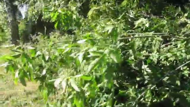 Отзыв клиента от покупки щепореза Щ350 (СтанкоПромГрупп). Часть 1 смотреть онлайн