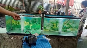 Unboxing Pompa Aerasi RESUN Aco 001 Murah Dan Hemat listrik