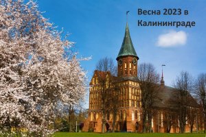 Про весну 2023 в Калининграде