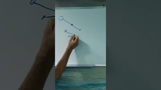 Коленный сустав. Ходьба на коленях.